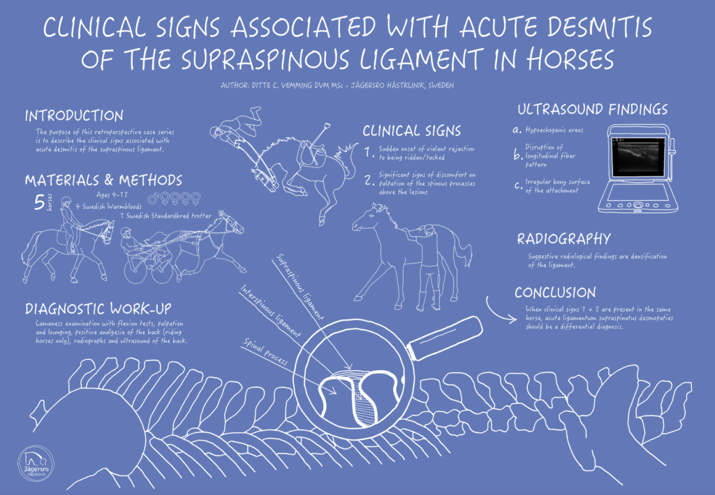 clinical signs associated with acute desmitis of the supraspinous ligament in horses poster presentation veterinary medicine dr ditte vemming dvm msc botnia hästklinik