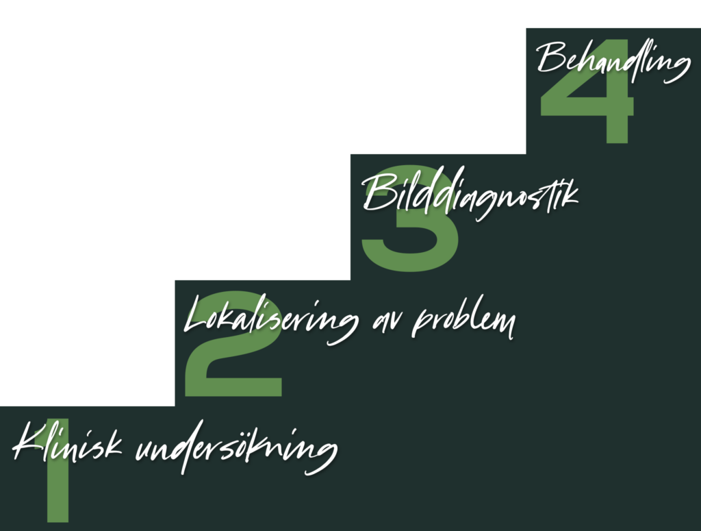 Hältutredning trappa - Botnia Hästklinik